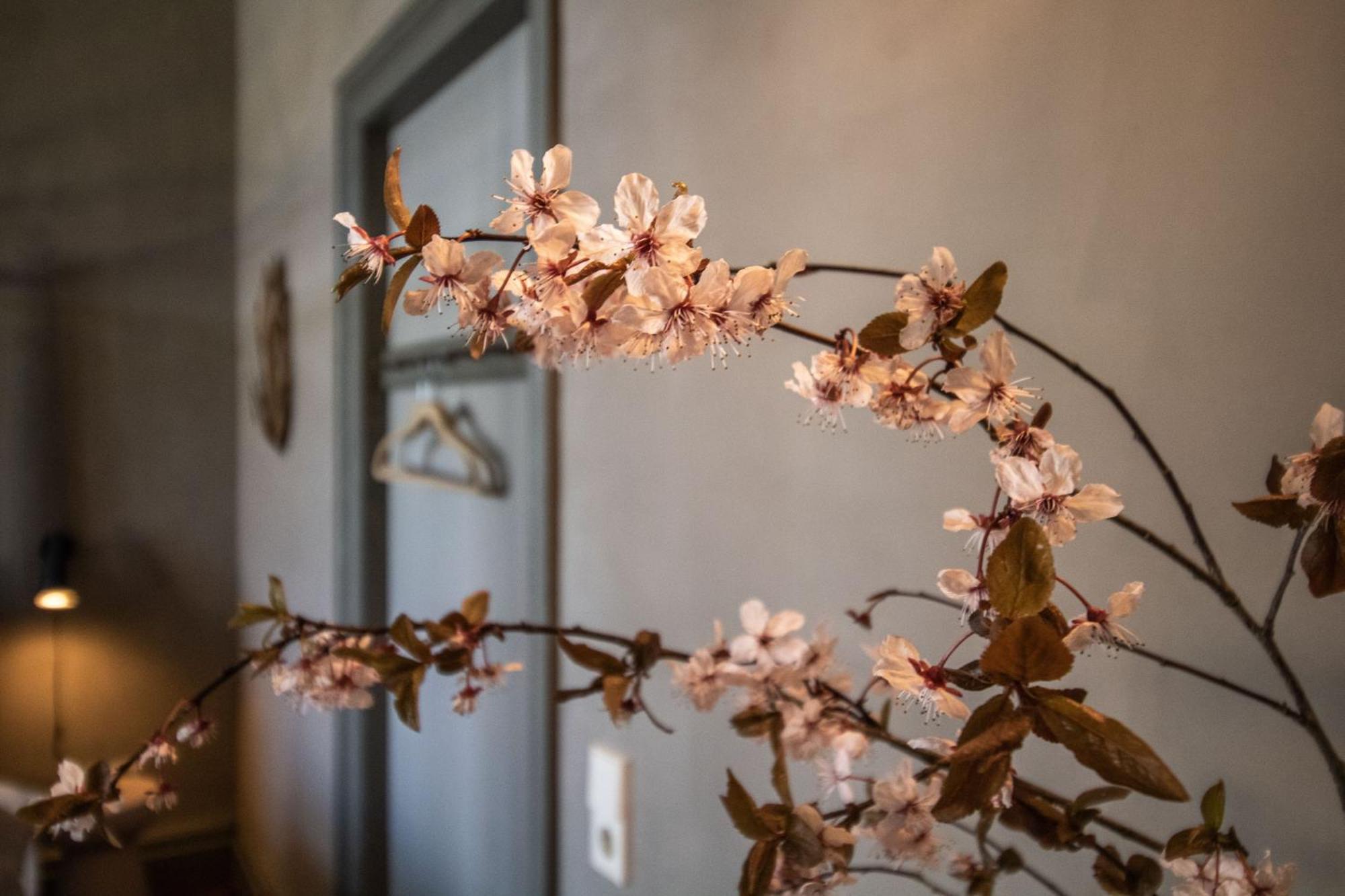 BarkhagenGutshaus Zarchlinアパートメント 部屋 写真